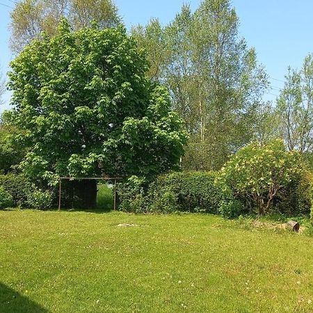 Apartman V Jame Černá v Pošumaví المظهر الخارجي الصورة